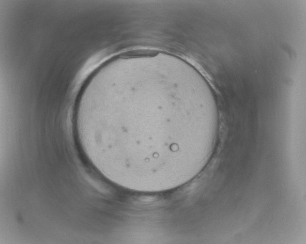 X0000115050151200911231200