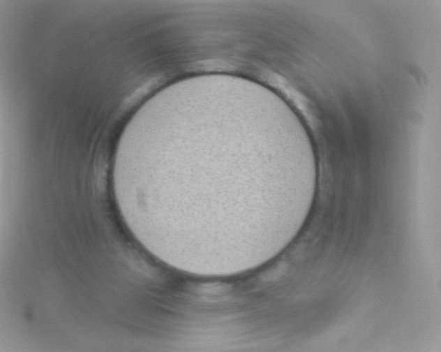 X0000115050153200911231200