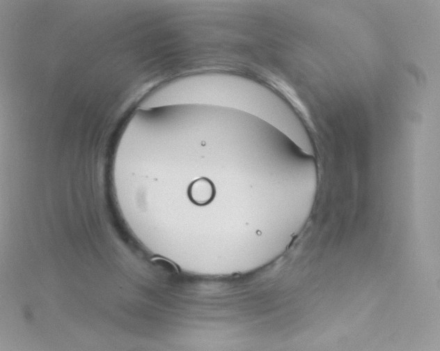 X0000115050154200911231201