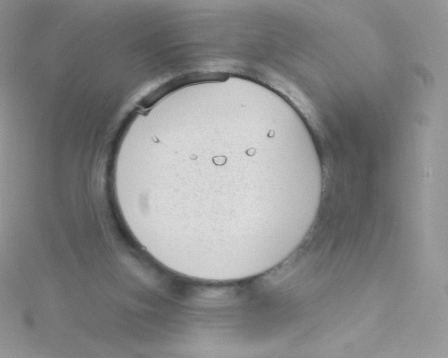 X0000115050155200911231201