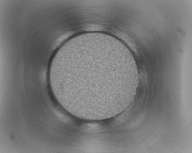 X0000115050159200911231201