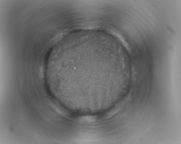 X0000115050161200911231201