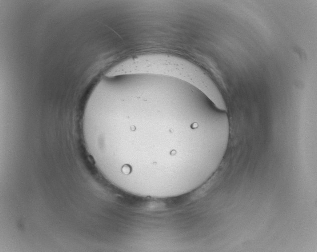 X0000115050162200911231201