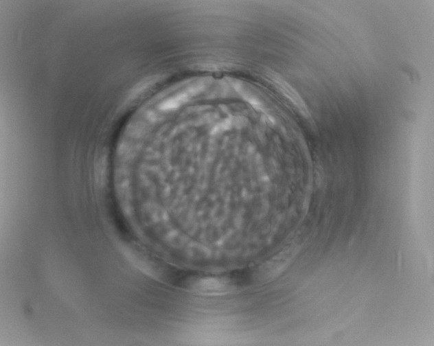 X0000115050163200911231201