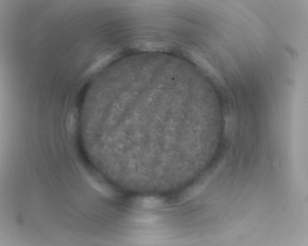 X0000115050165200911231201