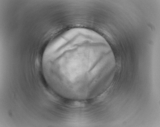 X0000115050166200911231201