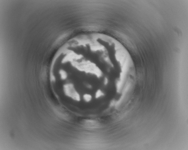 X0000115050167200911231201