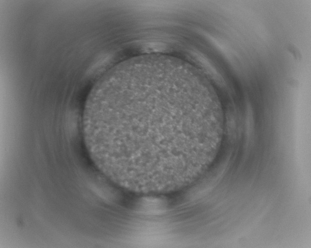 X0000115050169200911231201