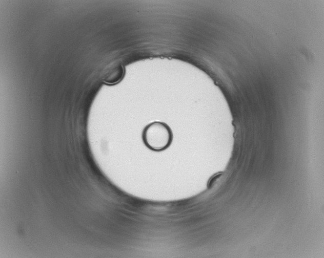 X0000115050170200911231201