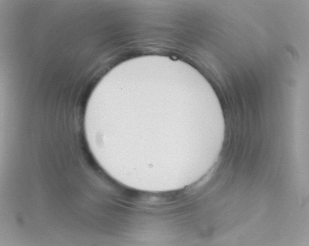 X0000115050174200911231201