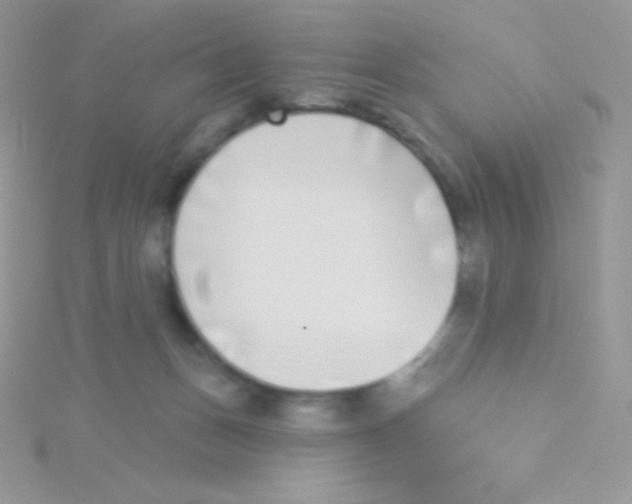 X0000115050175200911231201