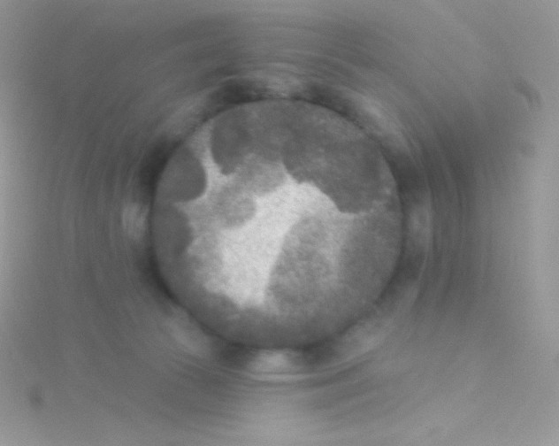 X0000115050177200911231201