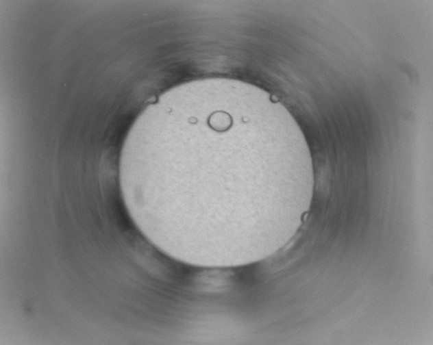 X0000115050179200911231201