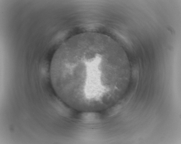 X0000115050181200911231201