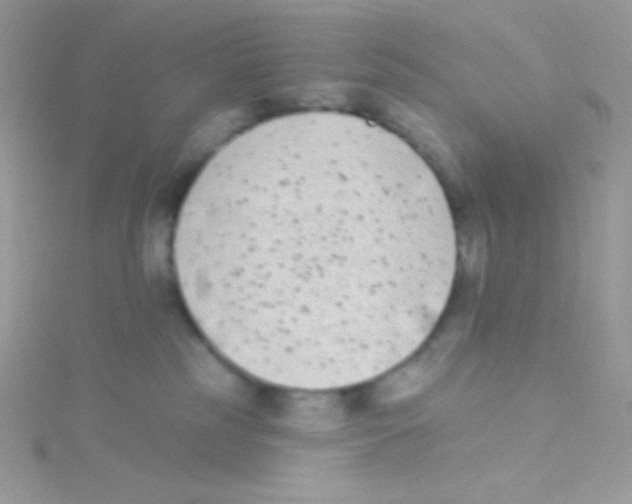 X0000115050185200911231201