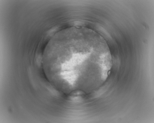 X0000115050189200911231201