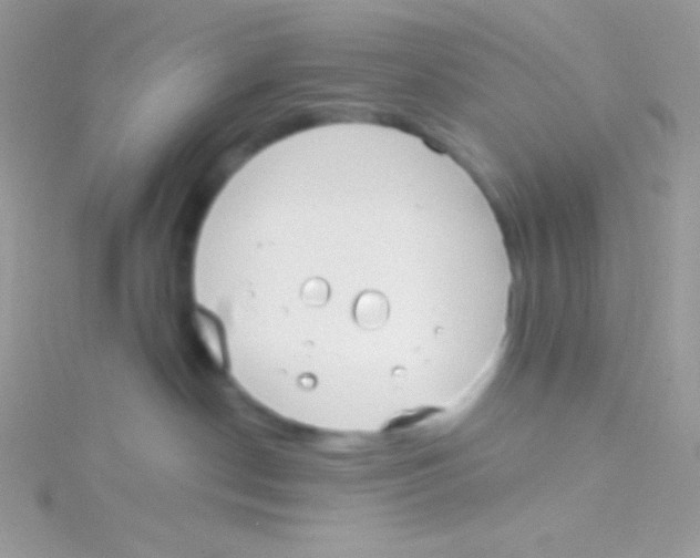 X0000115050190200911231201