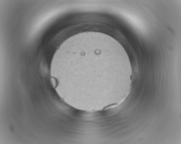 X0000115050191200911231201