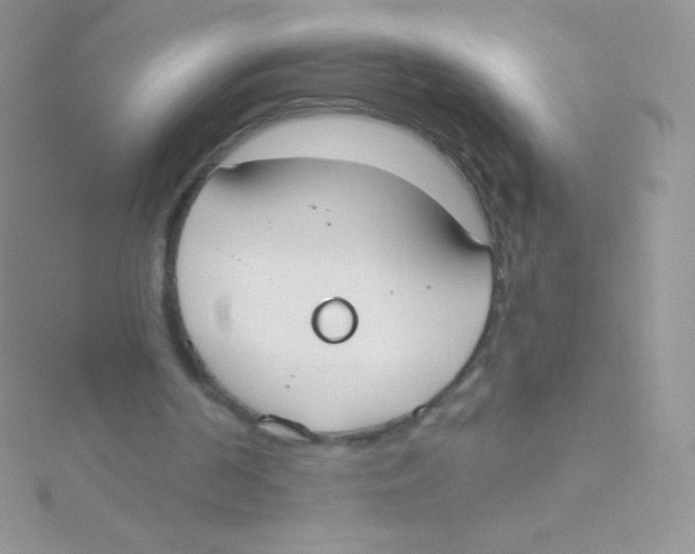 X0000115050194200911231200