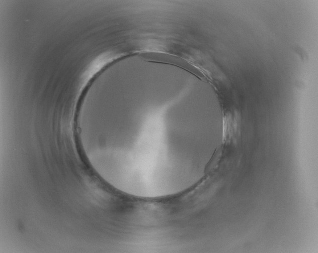 X0000115050195200911231200