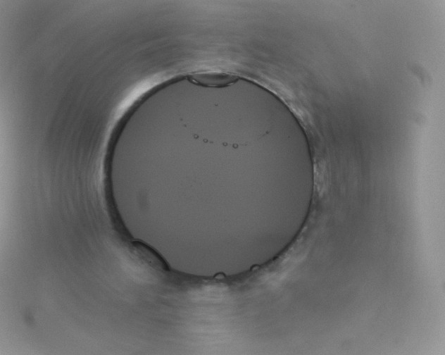 X0000115050196200911231200