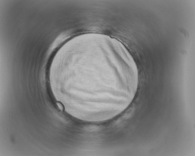 X0000115050198200911231200