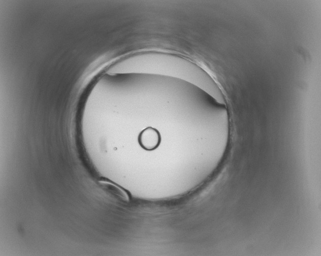 X0000115050199200911231200