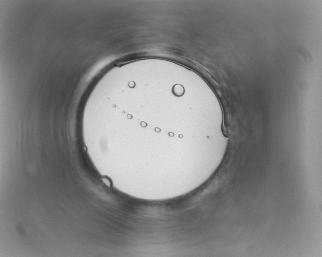 X0000115050200200911231200