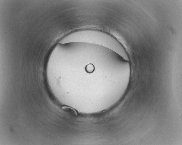 X0000115050201200911231200