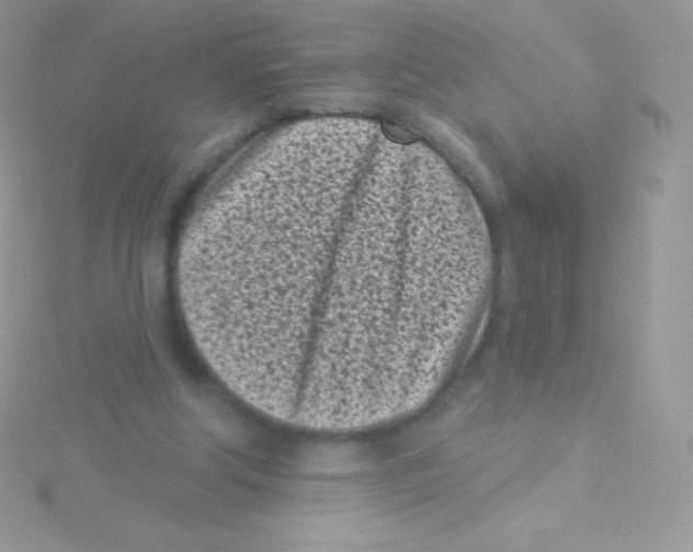 X0000115050202200911231200