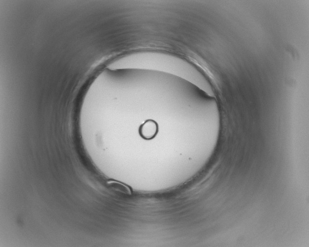 X0000115050203200911231200