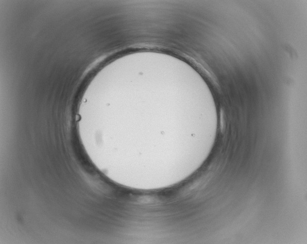 X0000115050204200911231200