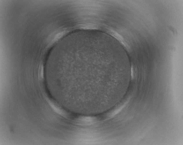 X0000115050205200911231200