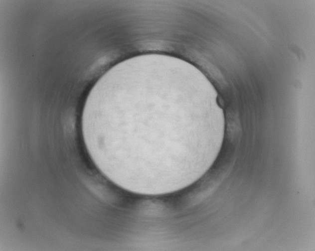 X0000115050207200911231200