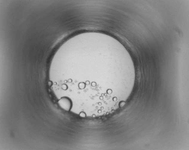 X0000115050208200911231200