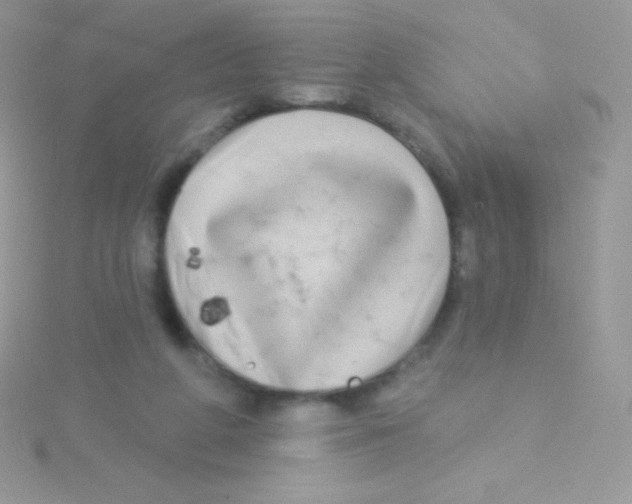 X0000115050210200911231200