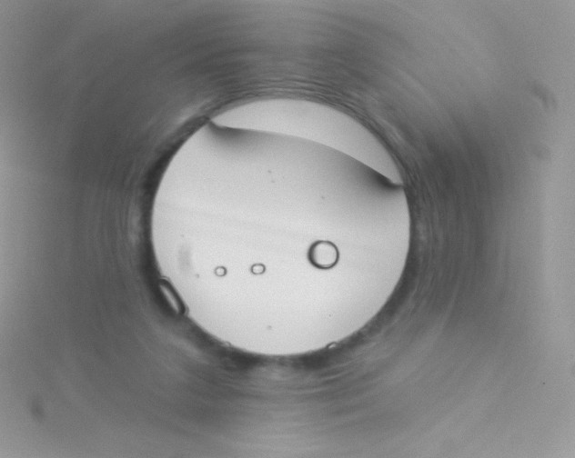 X0000115050211200911231200