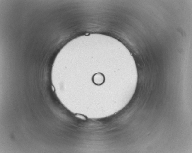 X0000115050215200911231200