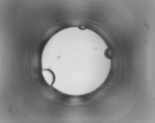 X0000115050216200911231200