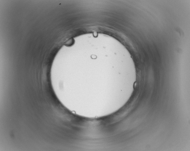 X0000115050217200911231200