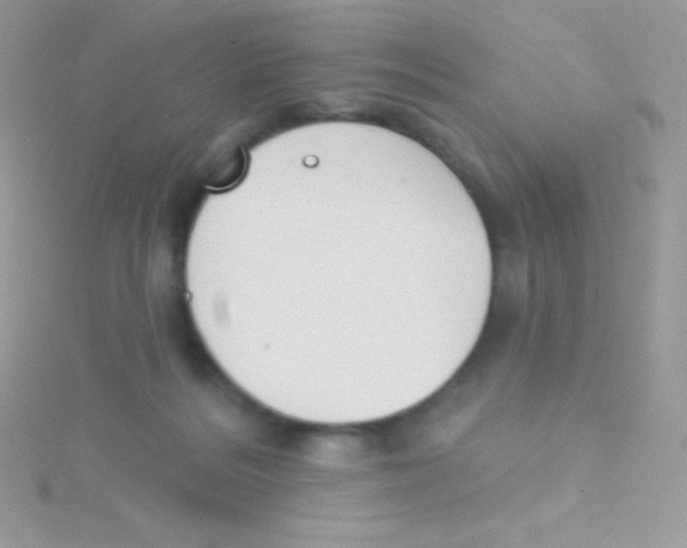 X0000115050220200911231200