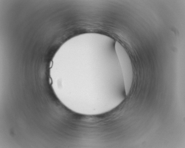 X0000115050221200911231200