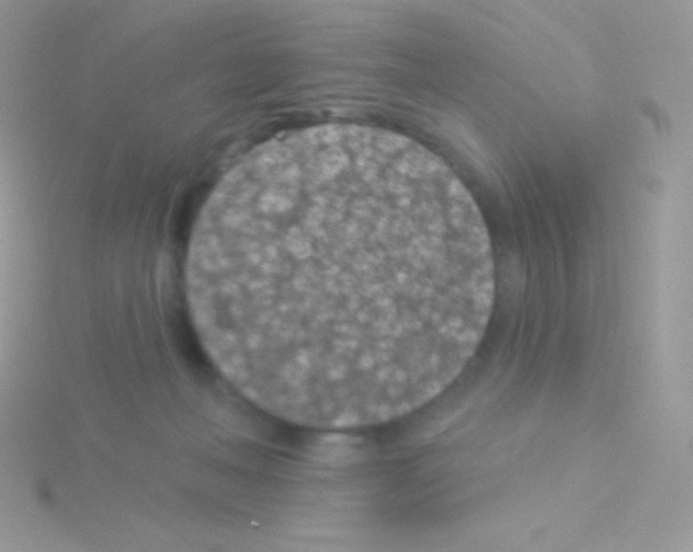 X0000115050222200911231200