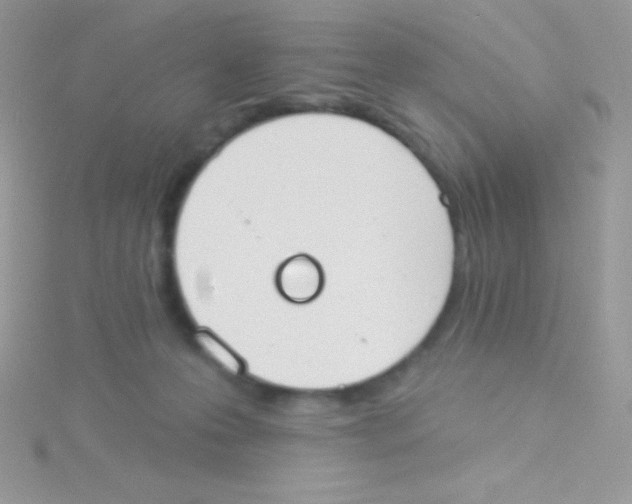 X0000115050223200911231200