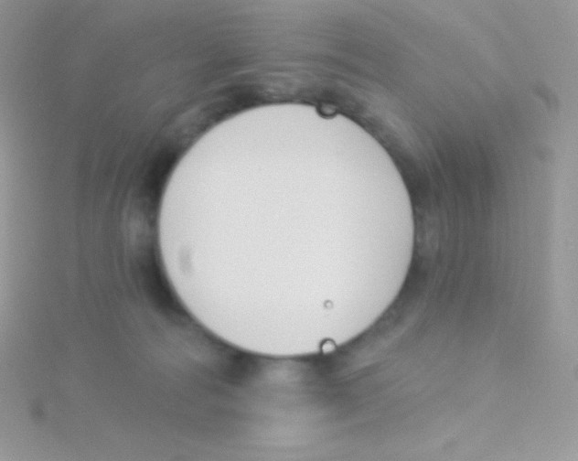 X0000115050226200911231200