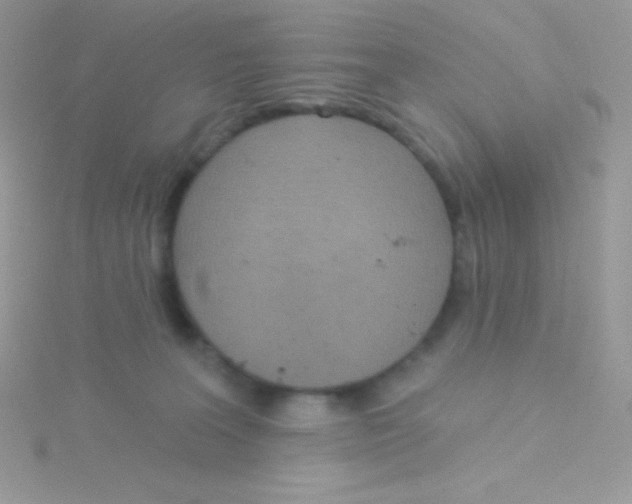 X0000115050227200911231200