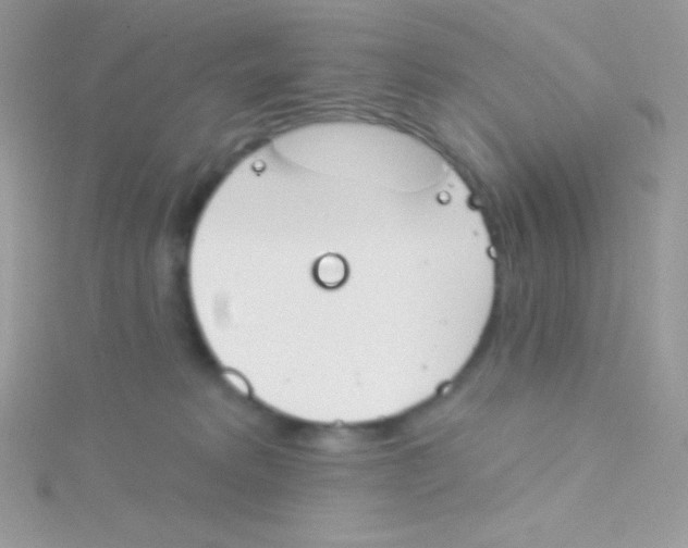 X0000115050229200911231200