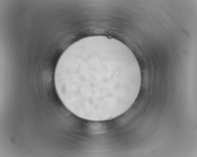 X0000115050230200911231200