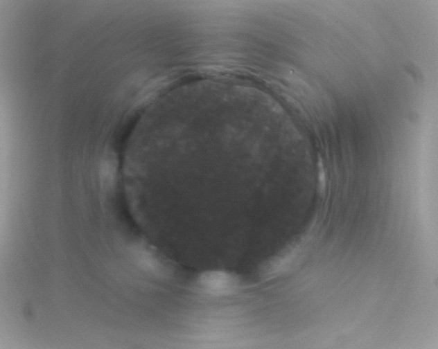 X0000115050231200911231200