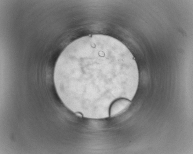 X0000115050234200911231200